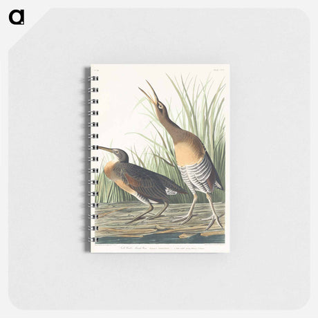 アートメモ帳-Salt Water Marsh Hen from Birds of America
 - アメリカの鳥たち Memo.