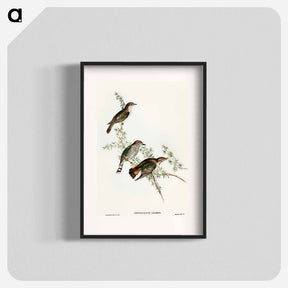 アートポスター-Shining Cuckoo
 - オーストラリアの鳥 Poster.