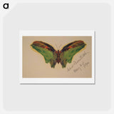 アートポストカード-Butterfly - アルバート ビアスタット Postcard.