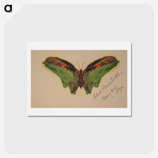アートポストカード-Butterfly - アルバート ビアスタット Postcard.