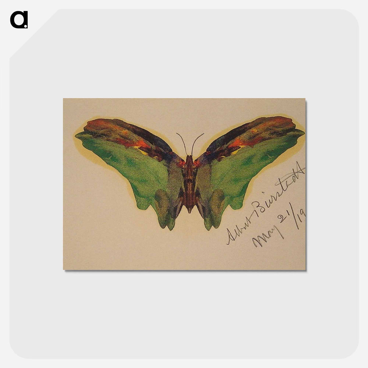 アートポストカード-Butterfly - アルバート ビアスタット Postcard.
