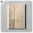 3-8_Alfred-Stieglitz_canvas