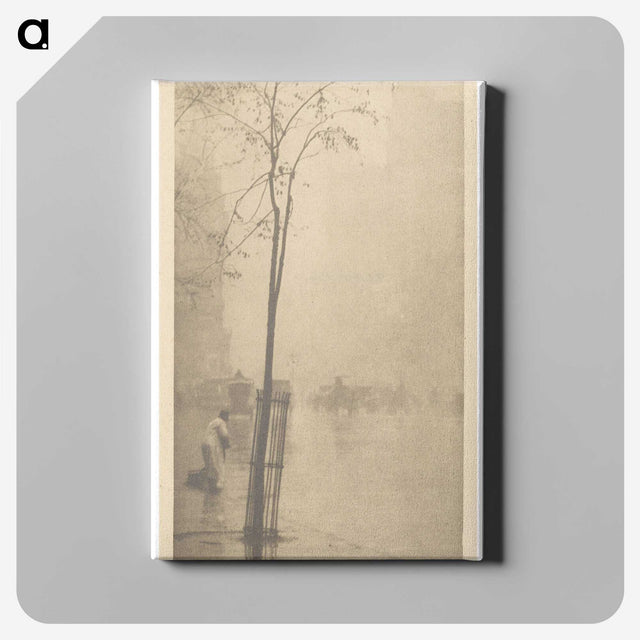 3-8_Alfred-Stieglitz_canvas