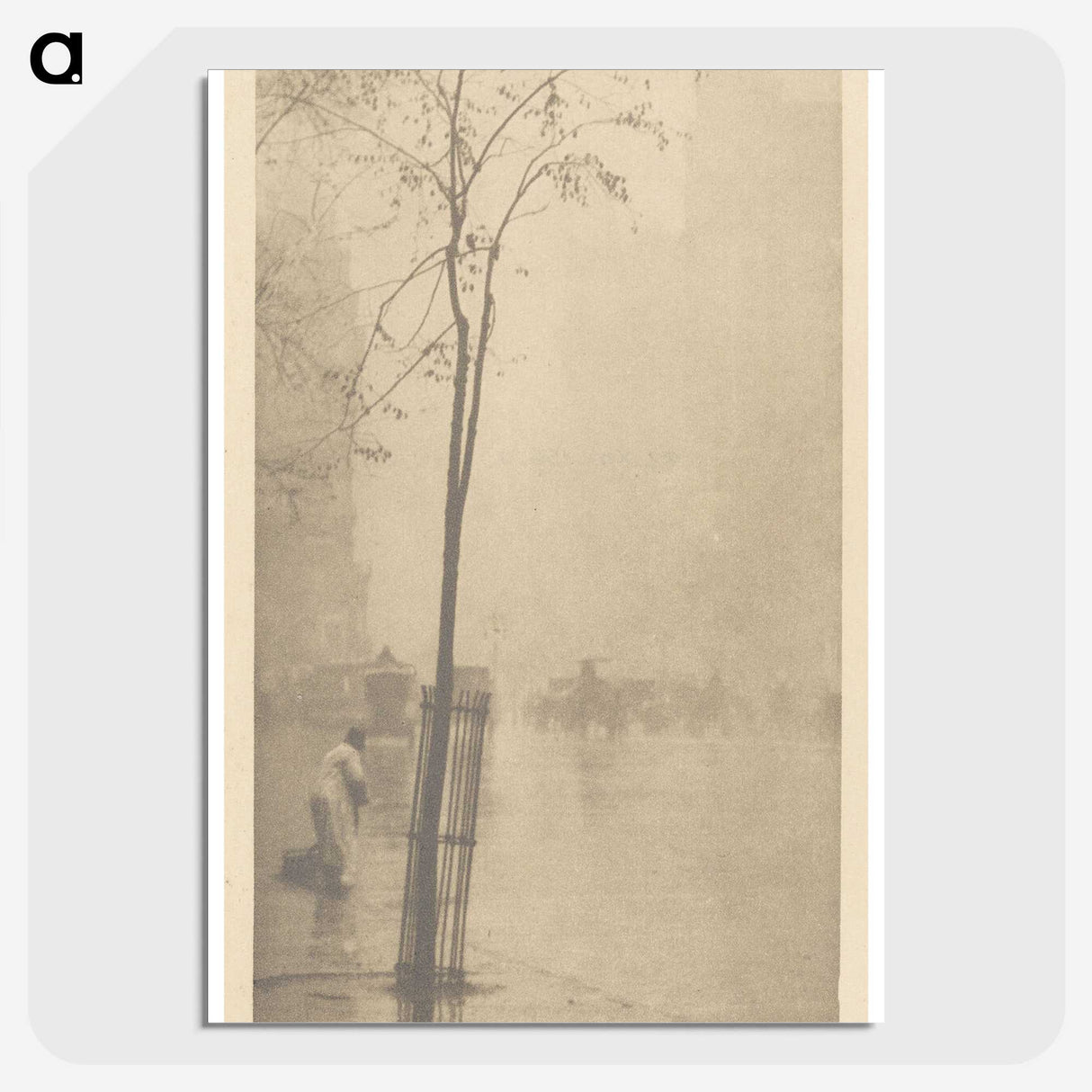 3-8_Alfred-Stieglitz_picture-crop