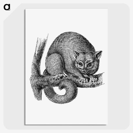 3-8_British-Library_picture-crop