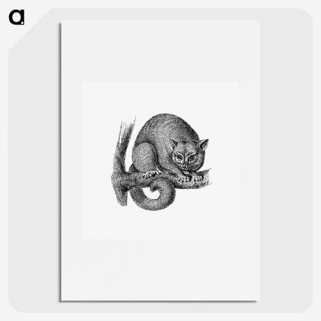 3-8_British-Library_picture