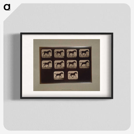 3-8_Eadweard-Muybridge_blk