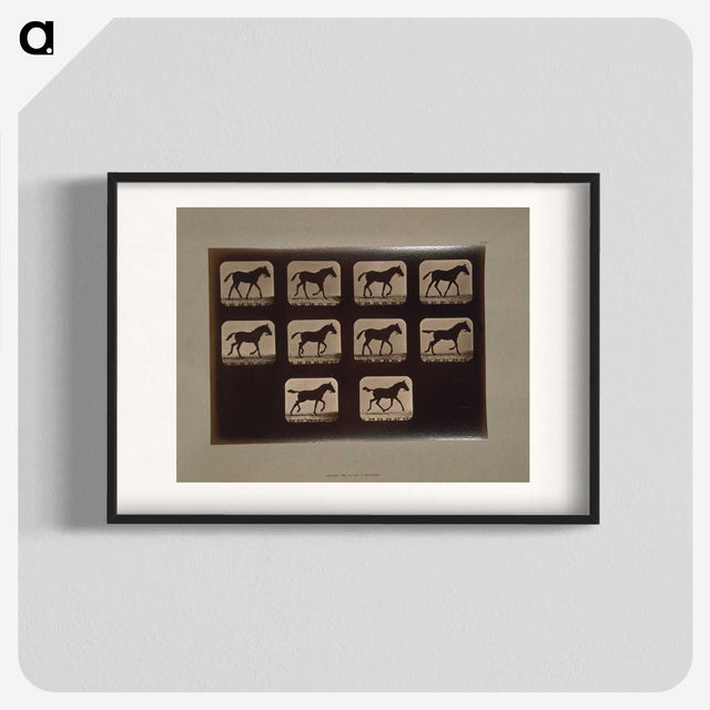 3-8_Eadweard-Muybridge_blk