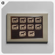3-8_Eadweard-Muybridge_canvas