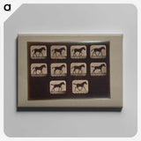 3-8_Eadweard-Muybridge_canvas