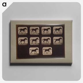 3-8_Eadweard-Muybridge_canvas