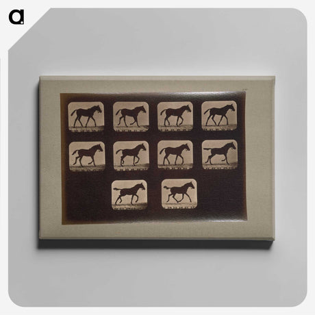 3-8_Eadweard-Muybridge_canvas
