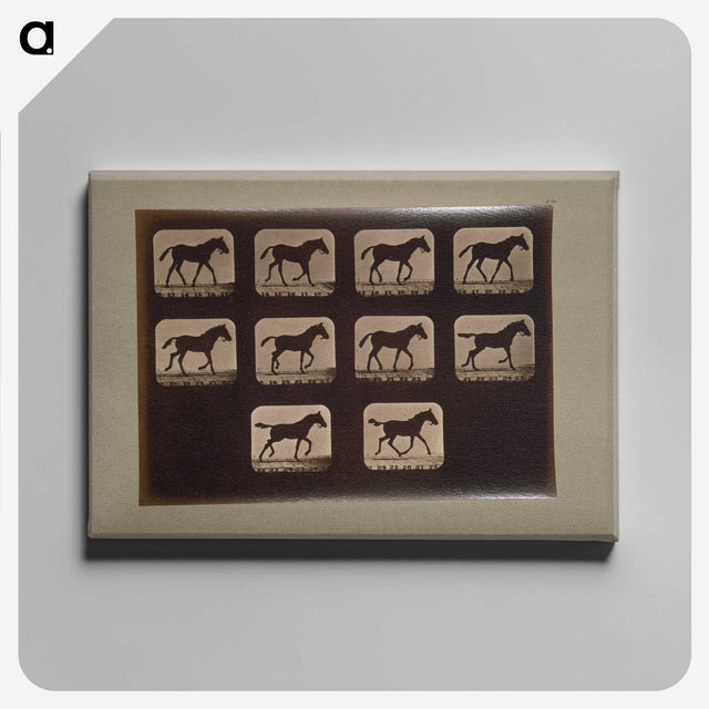 3-8_Eadweard-Muybridge_canvas