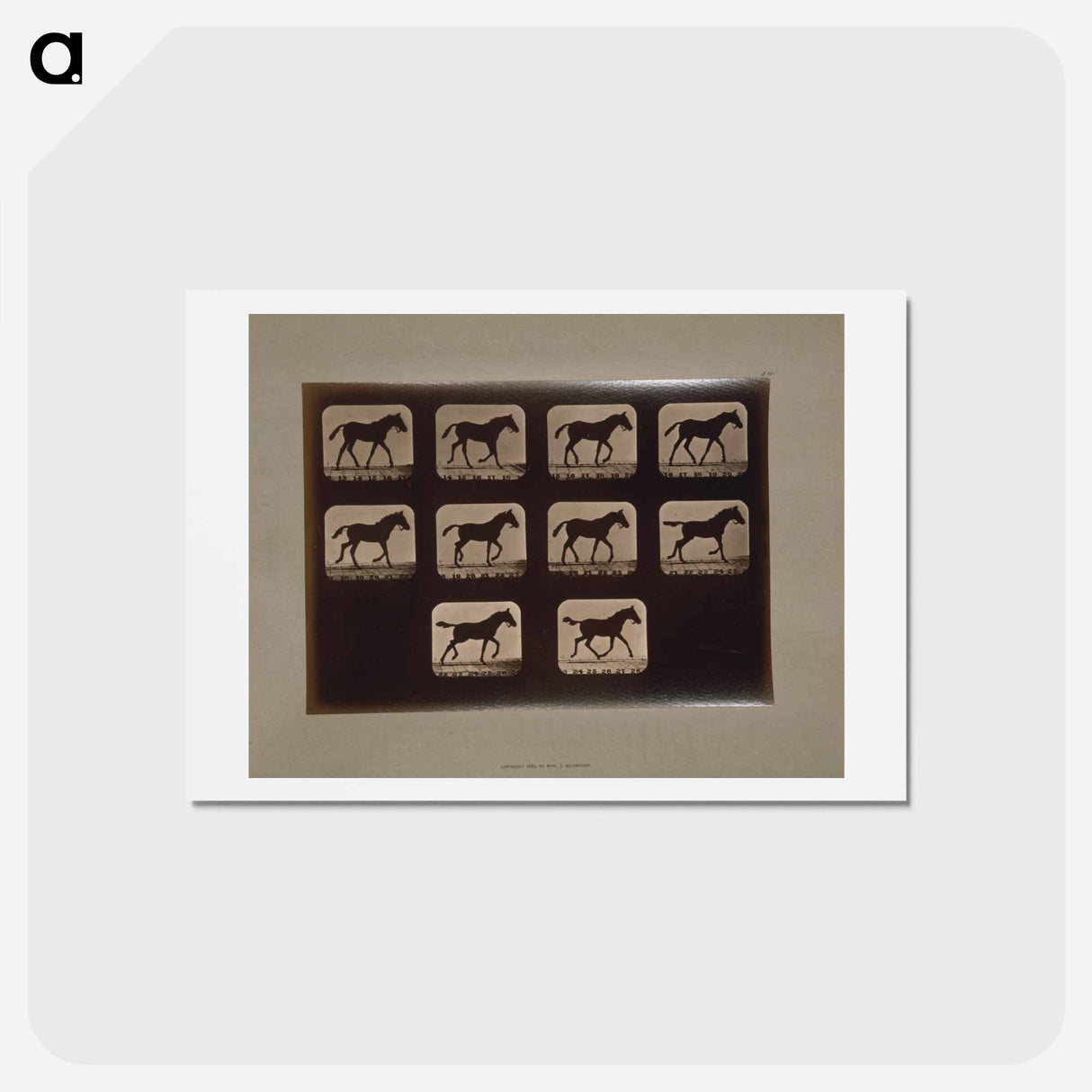 アートポストカード-Trotting Horses
 - エドワード マイブリッジ Postcard.