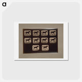 アートポストカード-Trotting Horses
 - エドワード マイブリッジ Postcard.