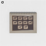 3-8_Eadweard-Muybridge_memo