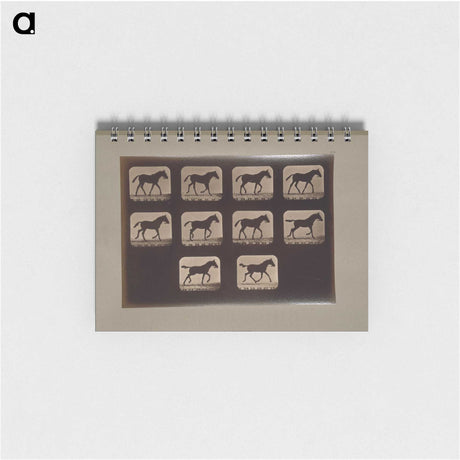 3-8_Eadweard-Muybridge_memo