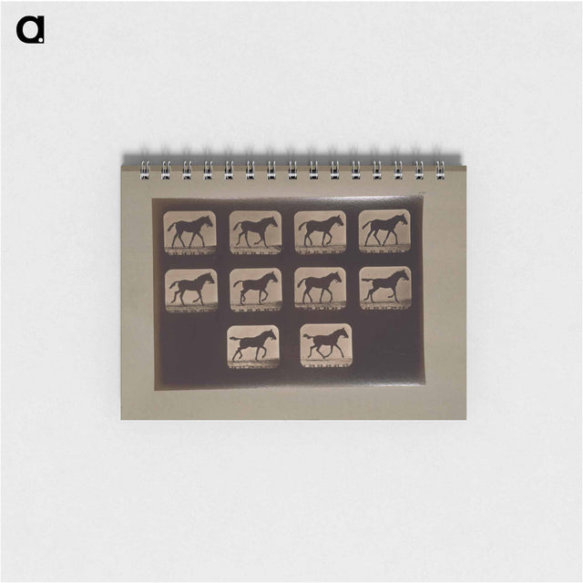 アートメモ帳-Trotting Horses
 - エドワード マイブリッジ Memo.