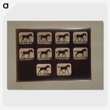 3-8_Eadweard-Muybridge_picture-crop