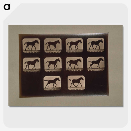 3-8_Eadweard-Muybridge_picture-crop