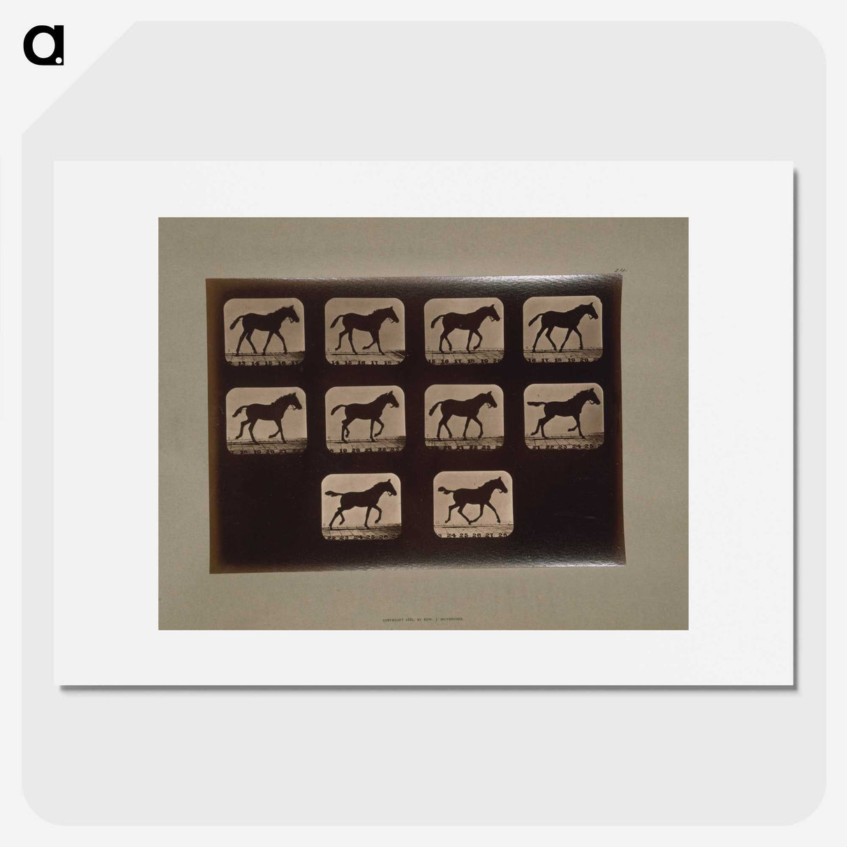 3-8_Eadweard-Muybridge_picture