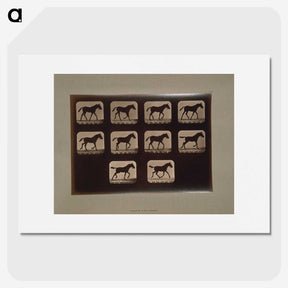 3-8_Eadweard-Muybridge_picture
