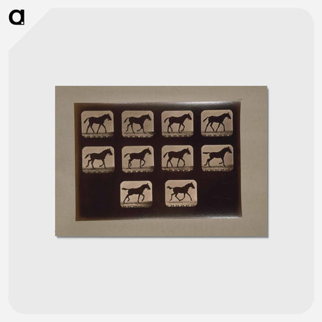 アートポストカード-Trotting Horses
 - エドワード マイブリッジ Postcard.