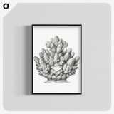 3-8_Ernst-Haeckel_blk-crop