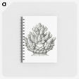 3-8_Ernst-Haeckel_memo