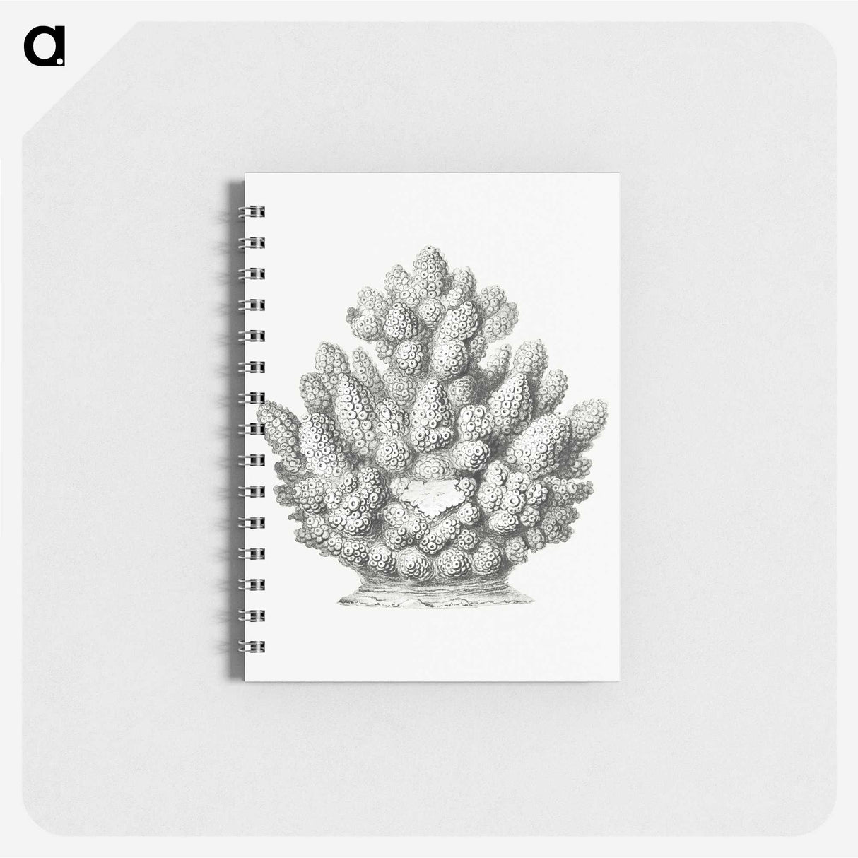 3-8_Ernst-Haeckel_memo