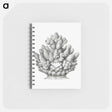 アートメモ帳-Vintage coral illustration on white background - エルンスト ヘッケル Memo.