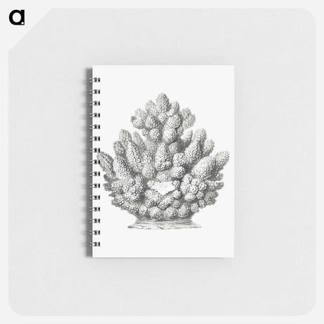 アートメモ帳-Vintage coral illustration on white background - エルンスト ヘッケル Memo.