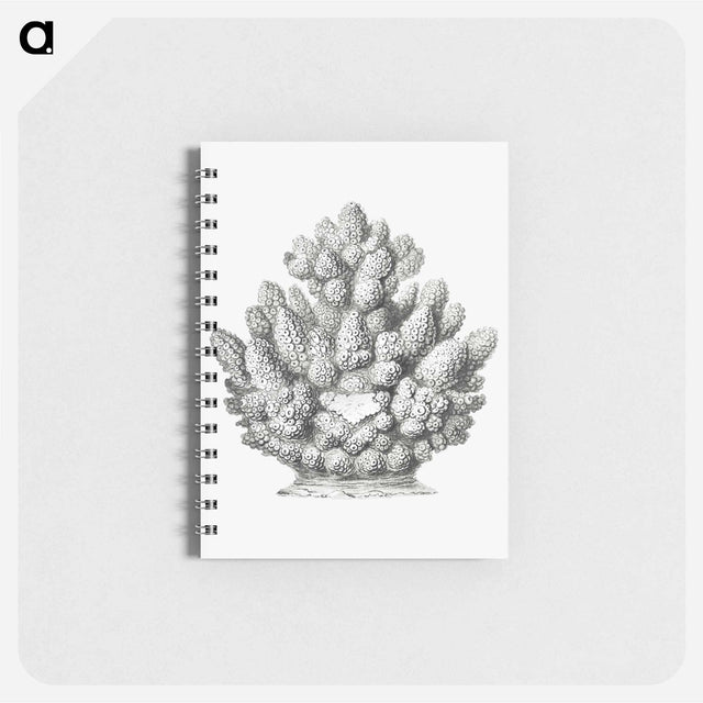 アートメモ帳-Vintage coral illustration on white background - エルンスト ヘッケル Memo.