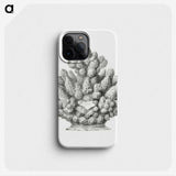 3-8_Ernst-Haeckel_phone