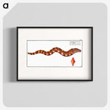 3-8_Ichtyologie-ou-Histoire-naturelle_blk