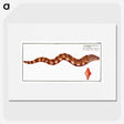 3-8_Ichtyologie-ou-Histoire-naturelle_picture