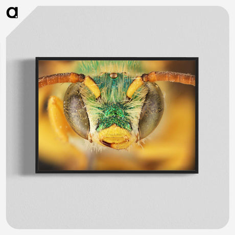 3-8_Insects-Unlocked-Project_blk-crop