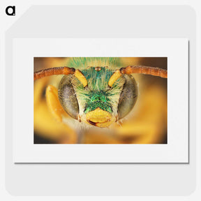 3-8_Insects-Unlocked-Project_picture