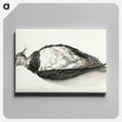 3-8_Jean-Bernard_canvas