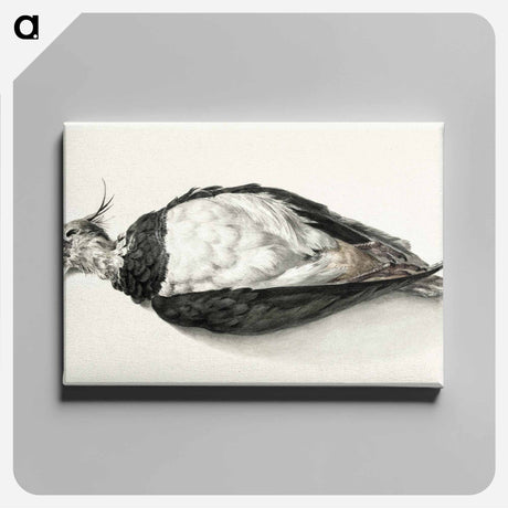 アートパネル-Dead lapwing - ジャン ベルナール Canvas.