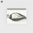 3-8_Jean-Bernard_memo