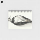 3-8_Jean-Bernard_memo
