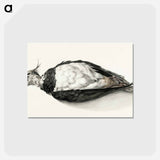 アートポストカード-Dead lapwing - ジャン ベルナール Postcard.