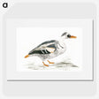 3-8_Johan-Teyler_picture