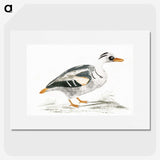 3-8_Johan-Teyler_picture