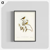 3-8_John-Gould_blk-crop
