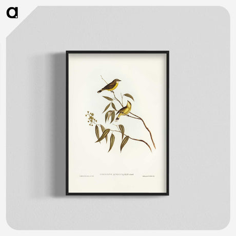 3-8_John-Gould_blk-crop