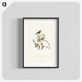 3-8_John-Gould_blk