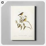 3-8_John-Gould_canvas