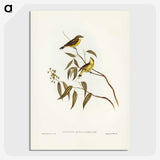 3-8_John-Gould_picture-crop